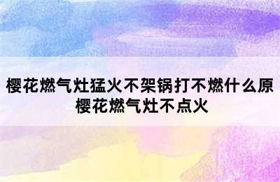 樱花燃气灶猛火不架锅打不燃什么原 樱花燃气灶不点火